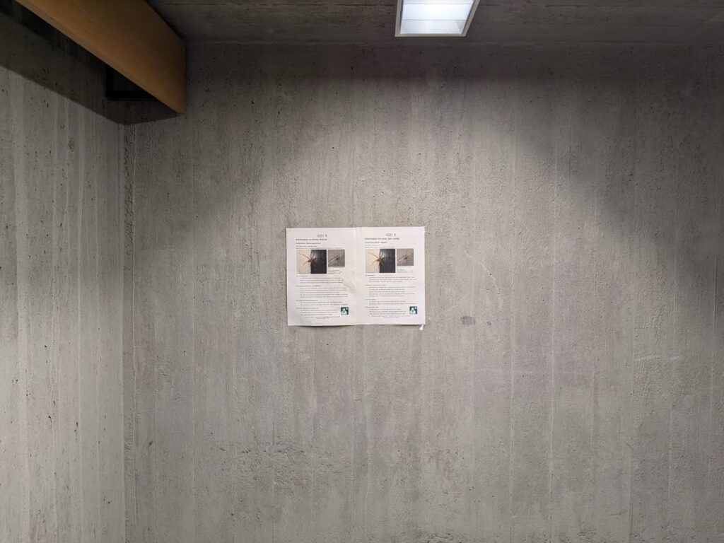 Der Aushang der von den Giftspinnen warnt, die Betonwände der Kellerräume der Morgenstelle im Hintergrund.